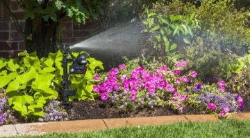 best lawn sprinkler