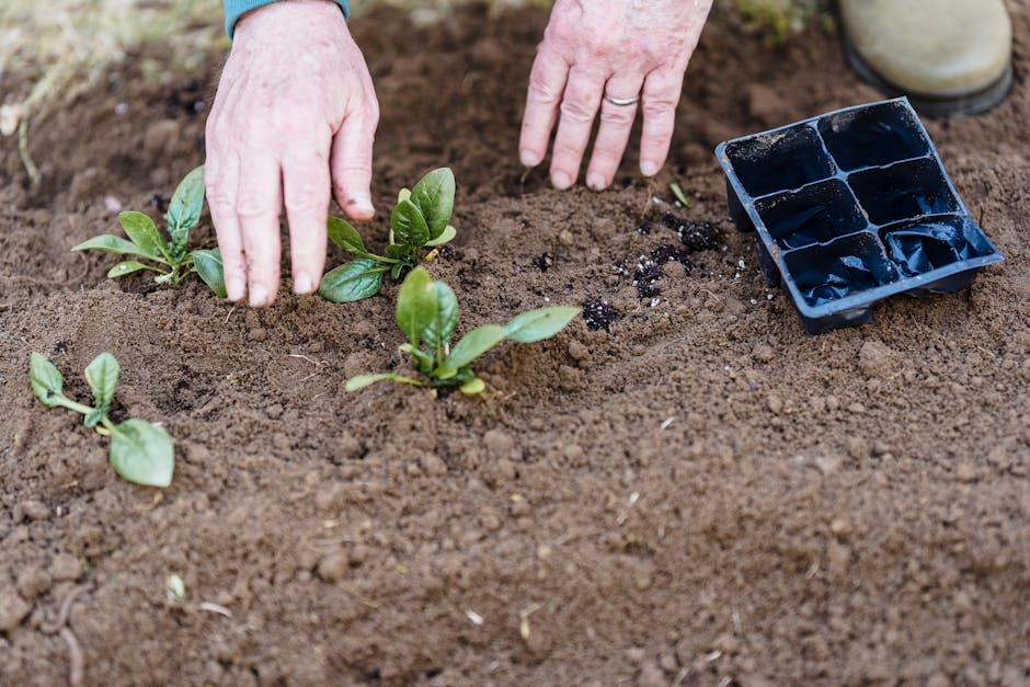 Top Spring Vegetables for Container Gardening