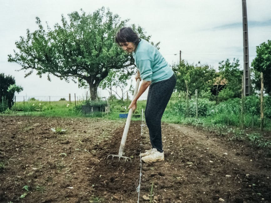 Choosing the Perfect Soil for Your Garden