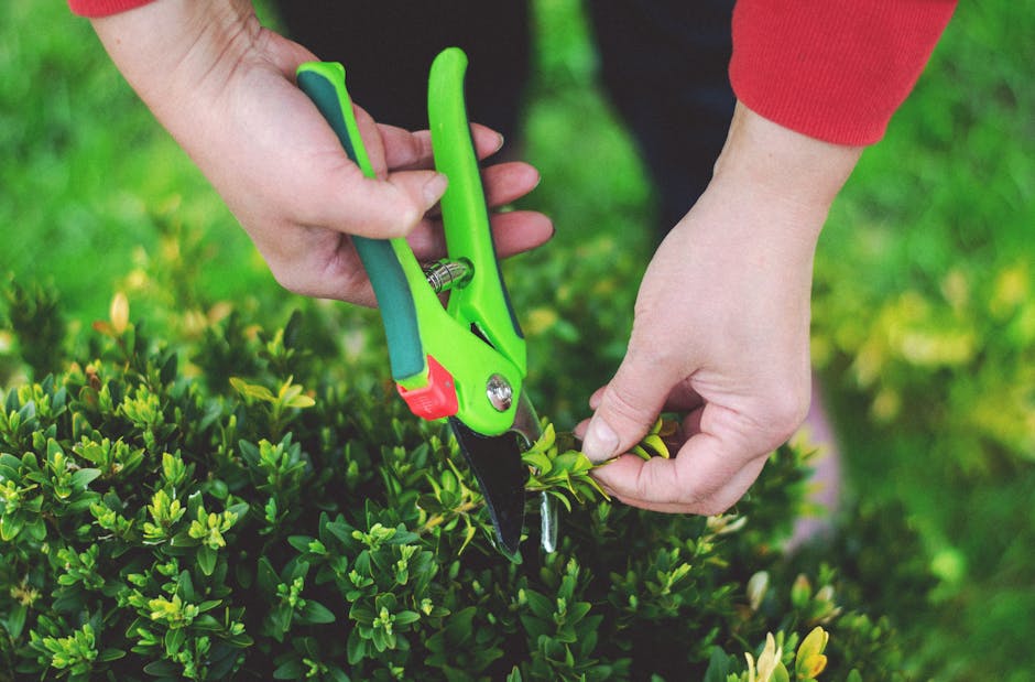 Top 7 Pruning Shears for Gardening