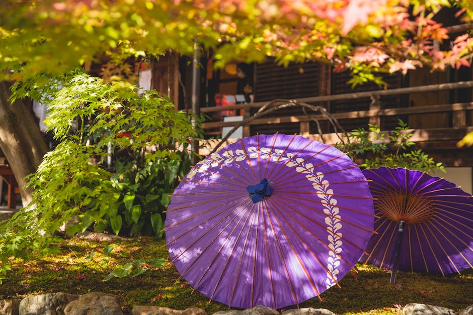 Cindy Bolz's Japanese Maple Oasis: An Asian-inspired Garden