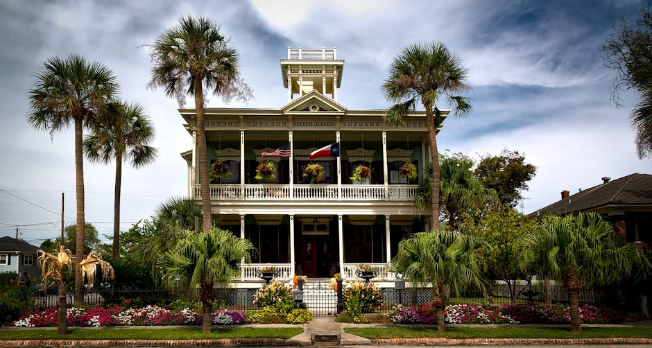 Revolutionizing Front Yards: The Rise of Drive-By Gardens