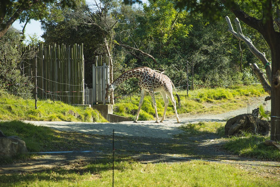 Exploring Stephanie's Wildlife Sanctuary in New Hampshire