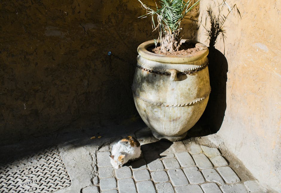 Transformation of a Barren Courtyard into an 'Intimate, Green, and Cozy' Urban Garden