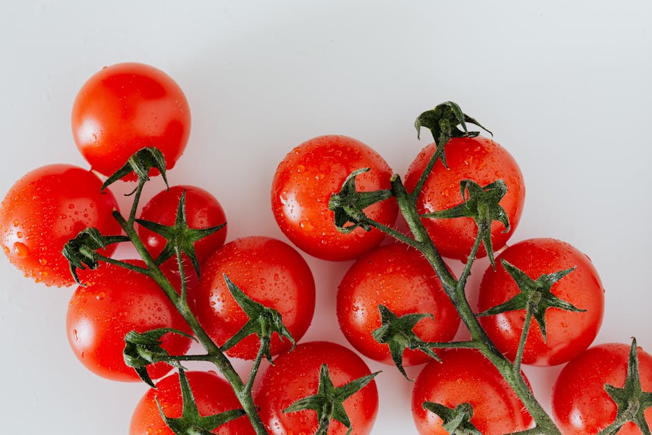 The Best Time and Method to Water Tomato Plants