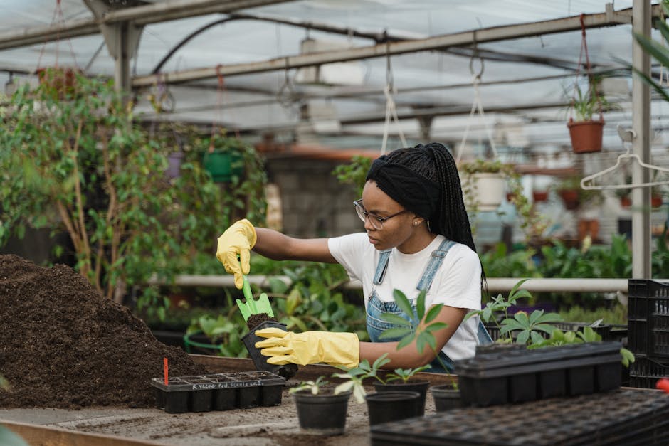 Cultivating Carrots and Other Plants to Attract Black Swallowtail Butterflies