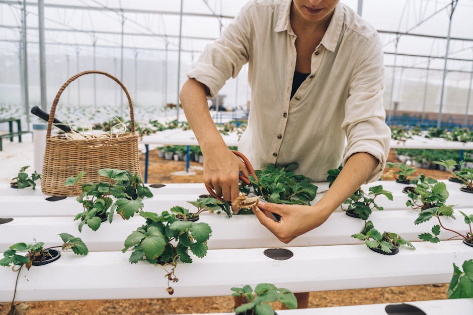 Exploring Valerie's Greenhouse and Cutting Garden in Canada