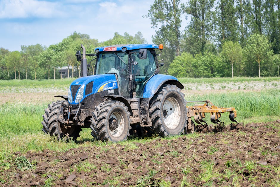 A Guide to Cultivating Tepary Beans