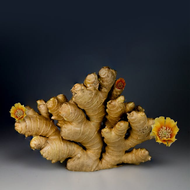 Tips for Successfully Growing Ginger