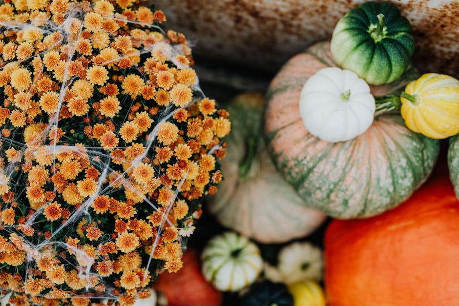 Top 8 Autumn Flowers to Admire