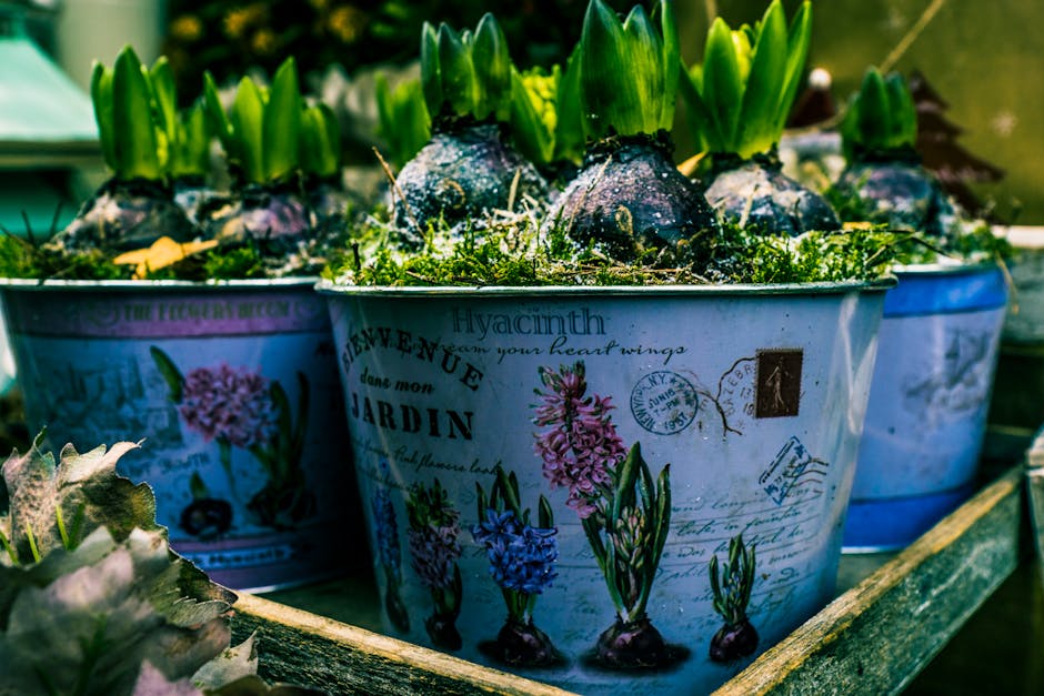 Exploring the Botanical Wonders of VanLierop Garden Market in Puget Sound