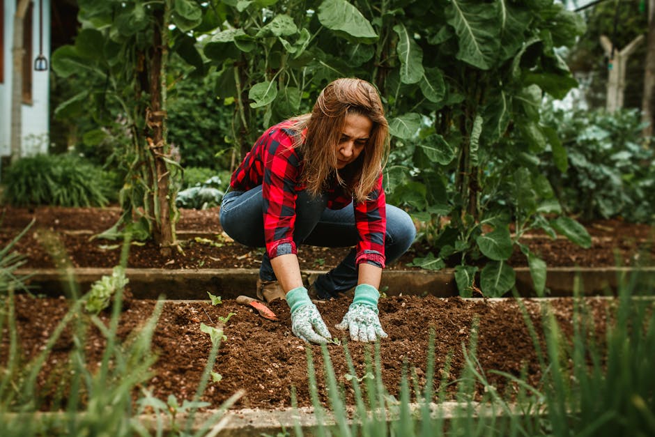 Measuring Soil Temperature Prior to Planting