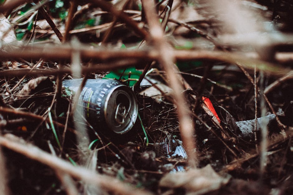 Can Centipede Grass Thrive in Shade?