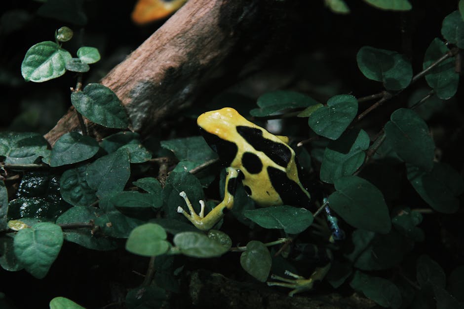 Fascinating Facts about Poison Dart Frogs