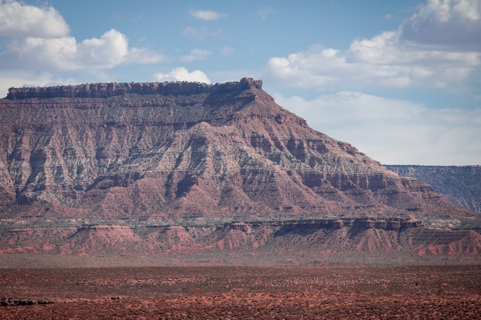 Essential Gardening Tasks for Arizona's Low Desert in July