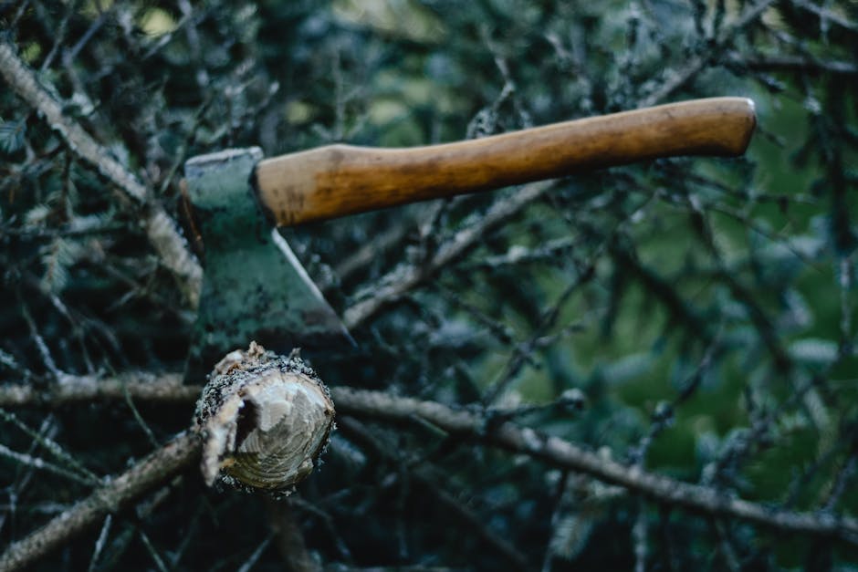 11 Top Mauls and Splitting Axes for Chopping Firewood