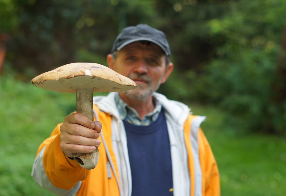 Beginner's Guide to Foraging: 6 Fruit and Fungi to Explore This Fall