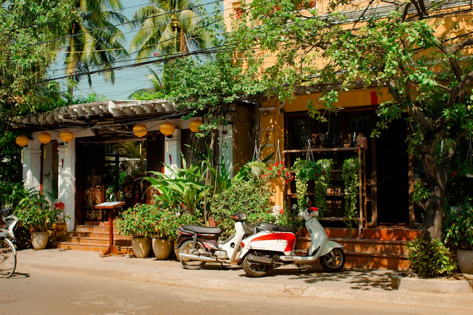 Creating a Lush Tropical Oasis in Betty's Front Yard