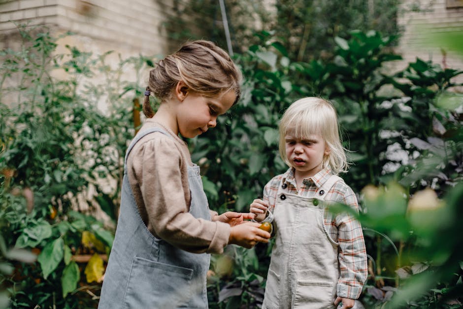 Exploring Holly's Denver Garden