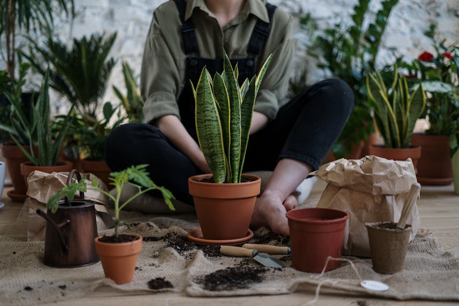 Growing Catnip: A Guide for Both Garden and Indoor Cultivation