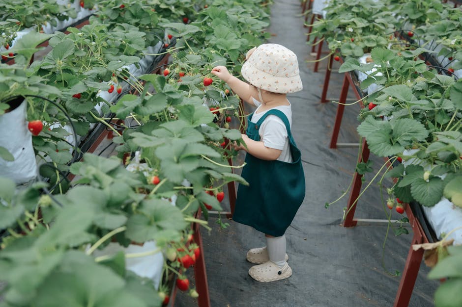 Maximizing Winter Harvest: Unlocking the Potential of Greenhouse Gardening