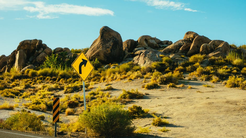 Planting Guide for Arizona's Low Desert in October