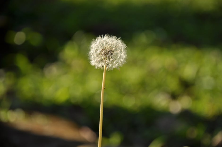 Revitalizing Landscapes with Native Plants: An Interview with Greg Rubin