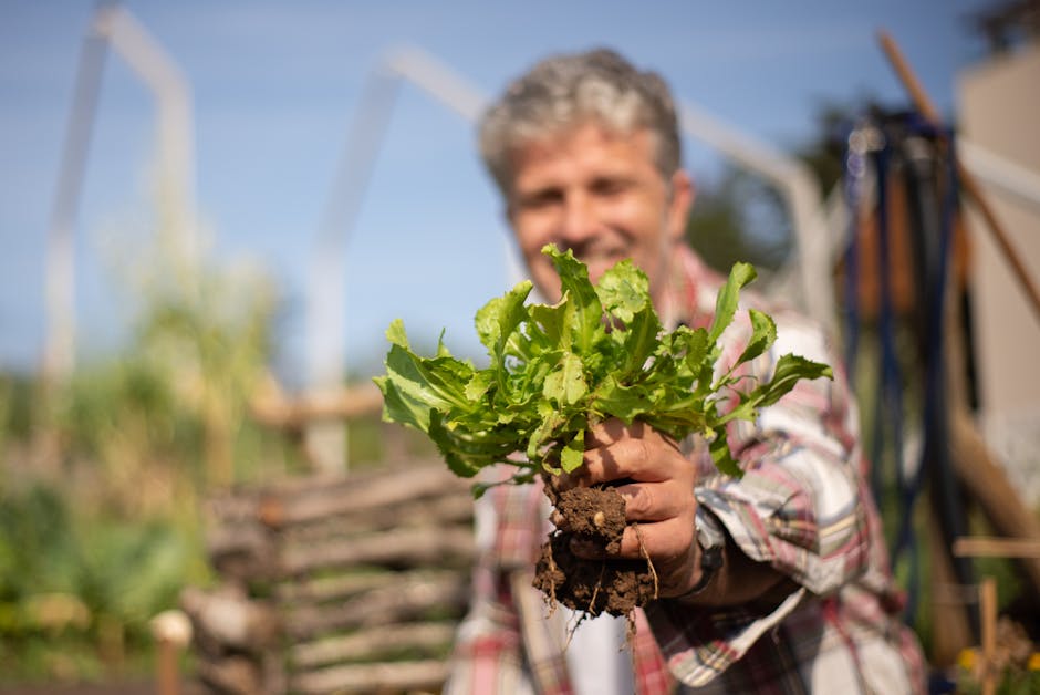 Selecting the Optimal Soil for Raised Bed Gardening