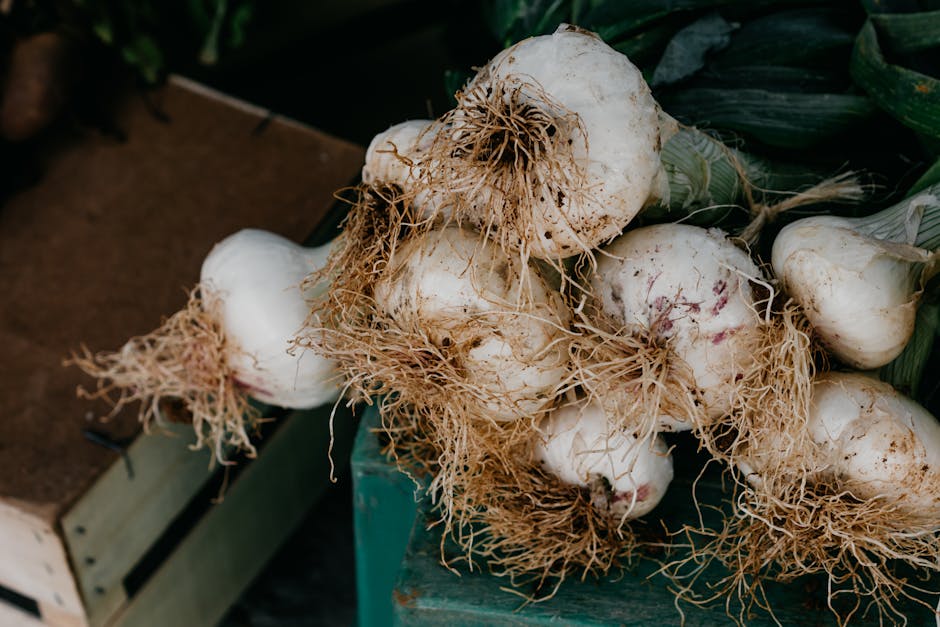 The Elusive Quest for Organic Bulbs