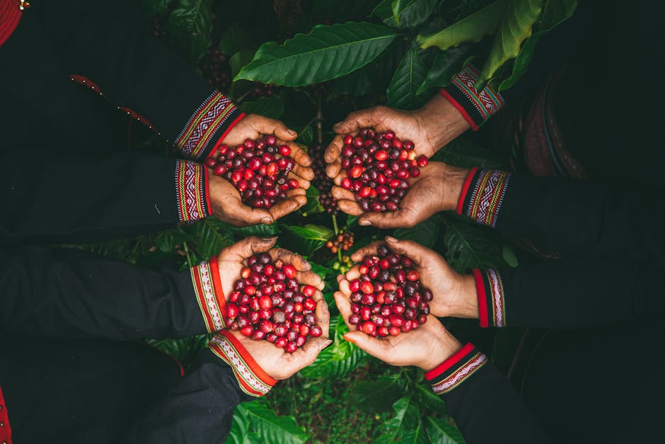 The Ultimate Guide to Gardening: Unveiling the Secrets of These Beans