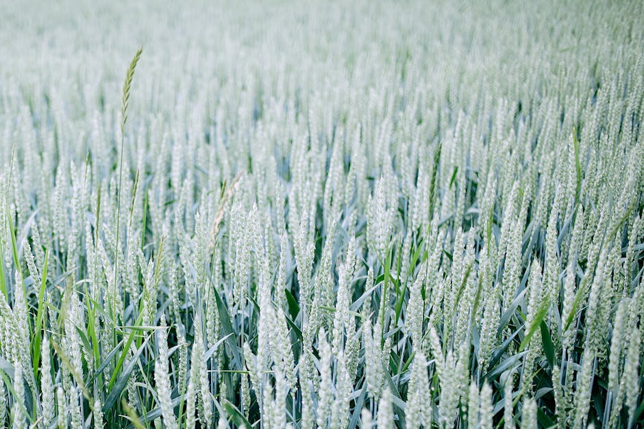 Tips for Cultivating a Bountiful Harvest with Renee Shepherd