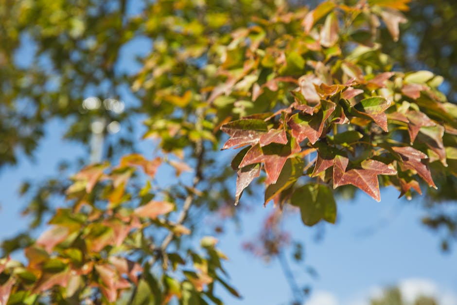 Why Fall is the Ideal Time to Plant in Southwest Gardens