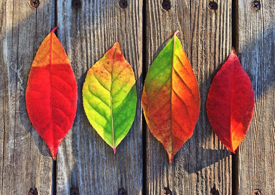 15 Creative Ideas for Utilizing Autumn Leaves in Your Garden