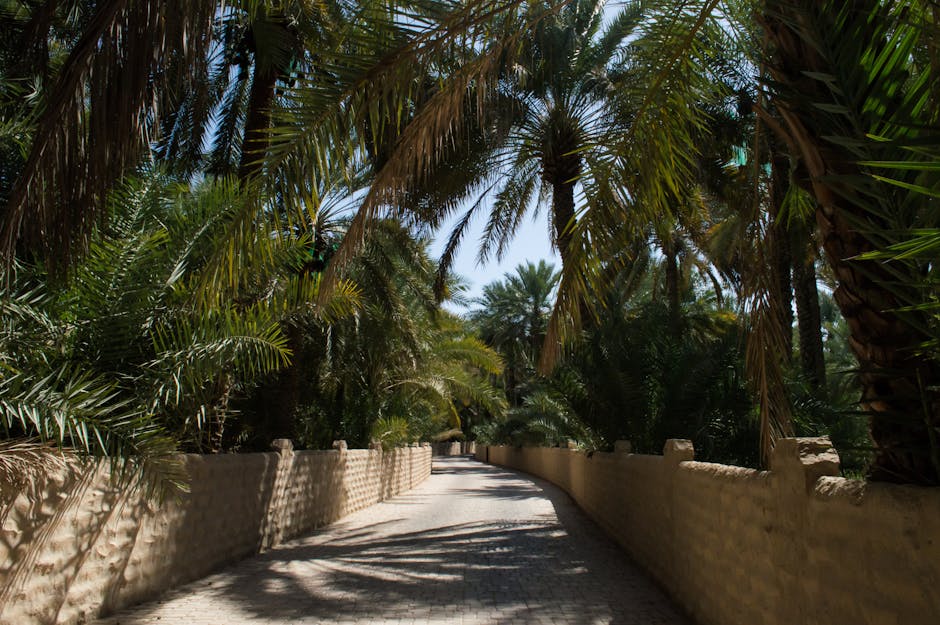 A Desert Oasis: Julie Clark and Mae Sanchez's Garden