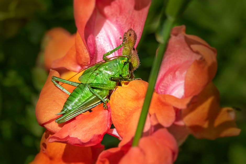 Discover the Fascinating World of Parasitic Beechdrops Plants