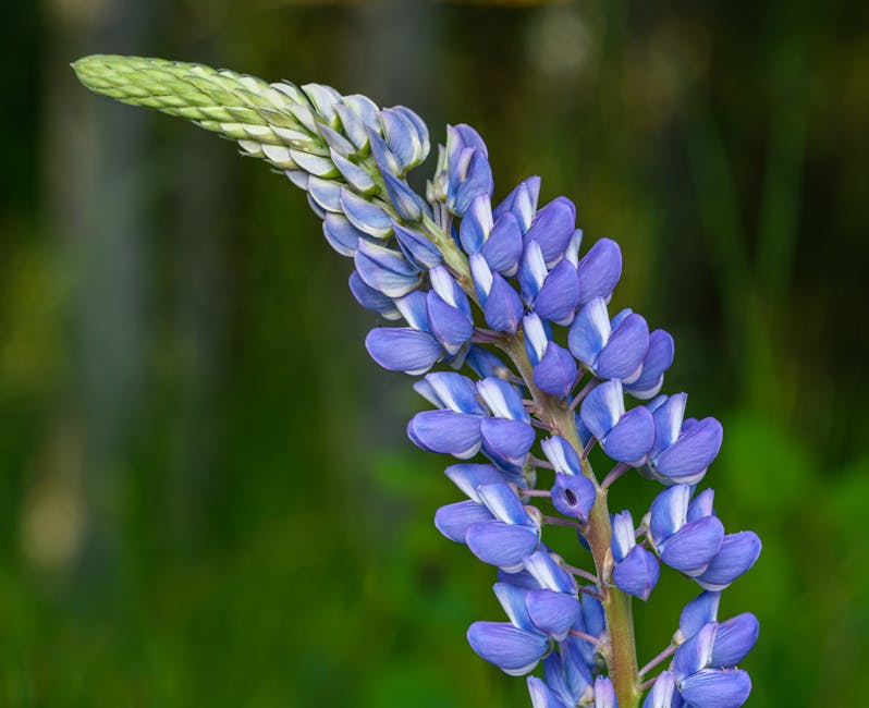 Exploring a Botanical Bucket-List: Unveiling Nature's Blooming Wonders