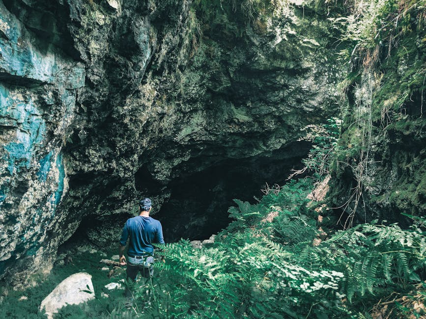 Exploring Lynn's Garden: A Hidden Gem in Ontario