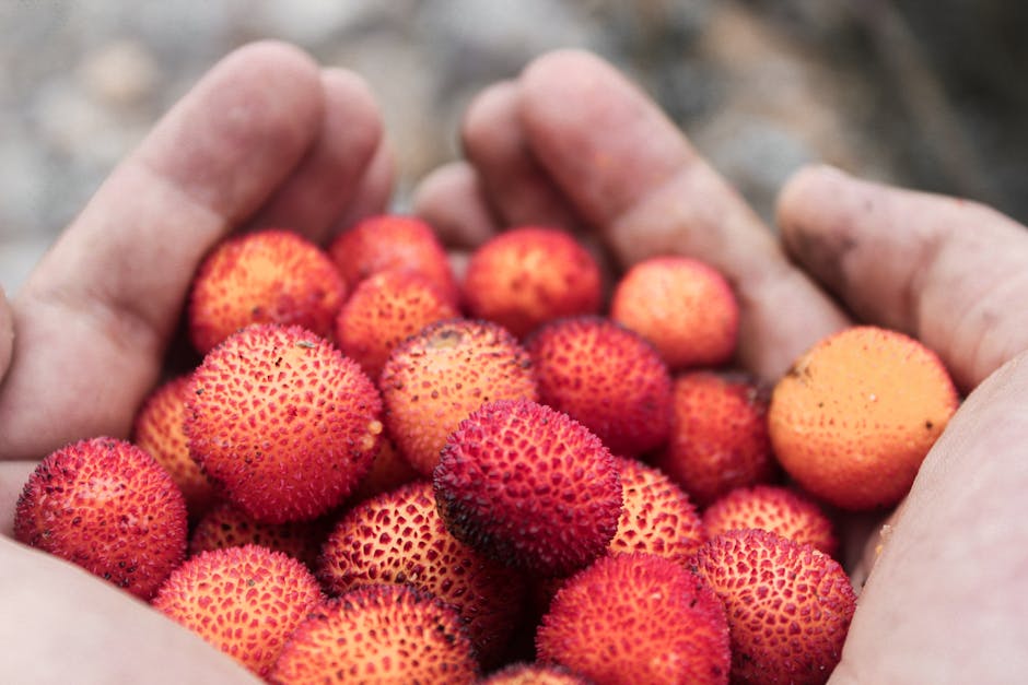 Exploring Michigan's Abundance of Wild Edible Small Fruits