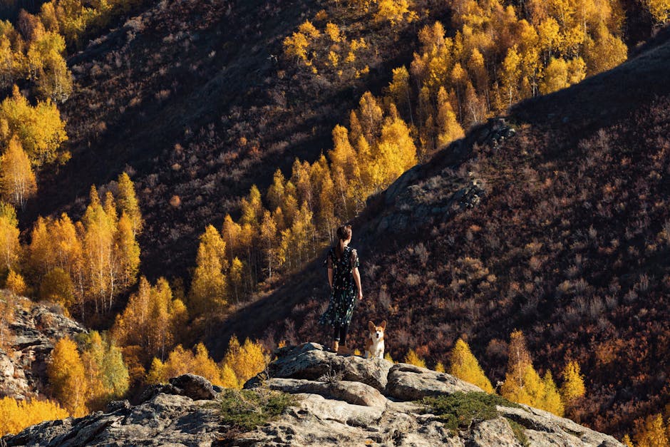 Exploring the Gold of Aspen: A Season in the Rockies