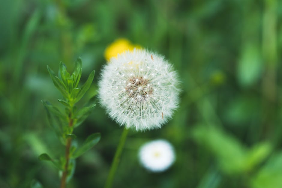 Exploring the New York Botanical Garden with Helena LaPorte-Burns