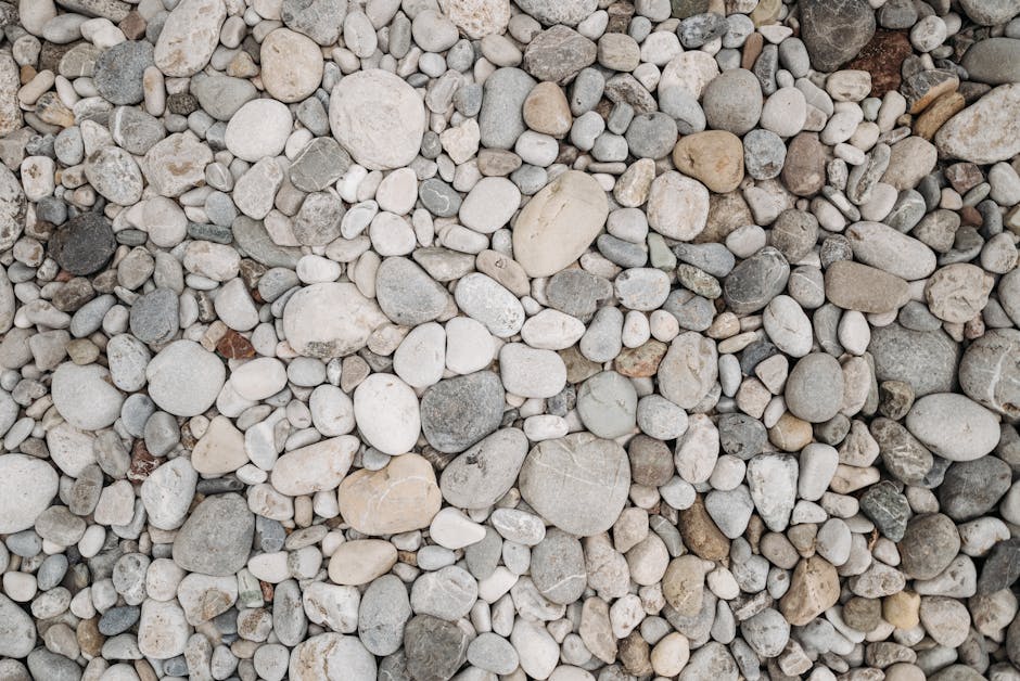 Insider Tips from Landscape Designers: What You Should Know About Gravel