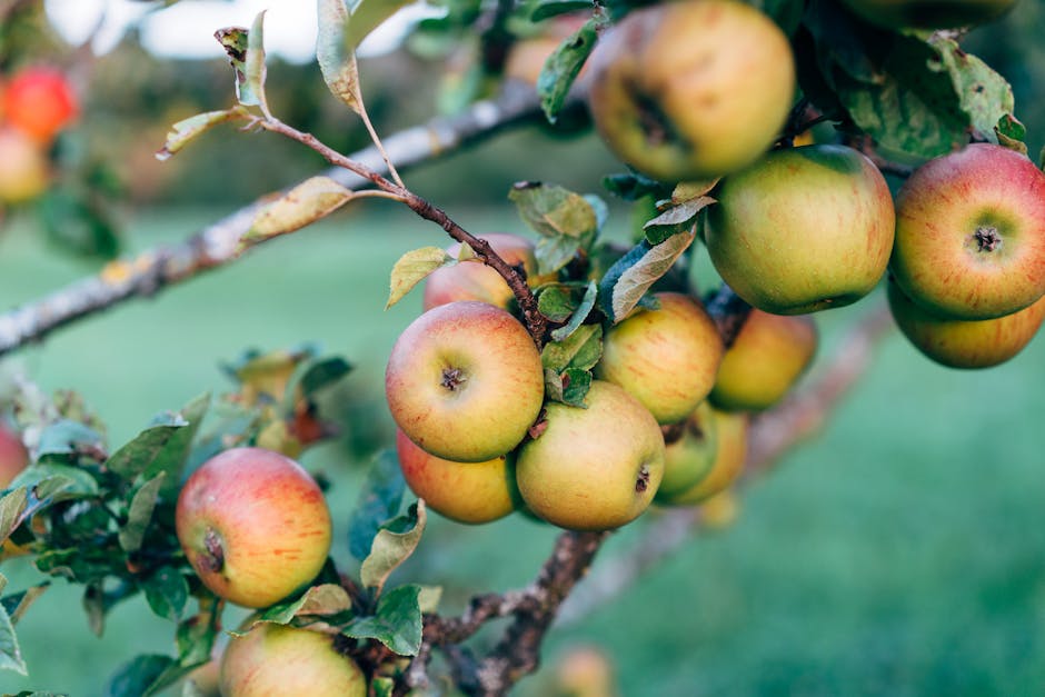 The Food Forward Garden: A Guide to Cultivating a Beautiful Yard and Enjoying Its Bounty