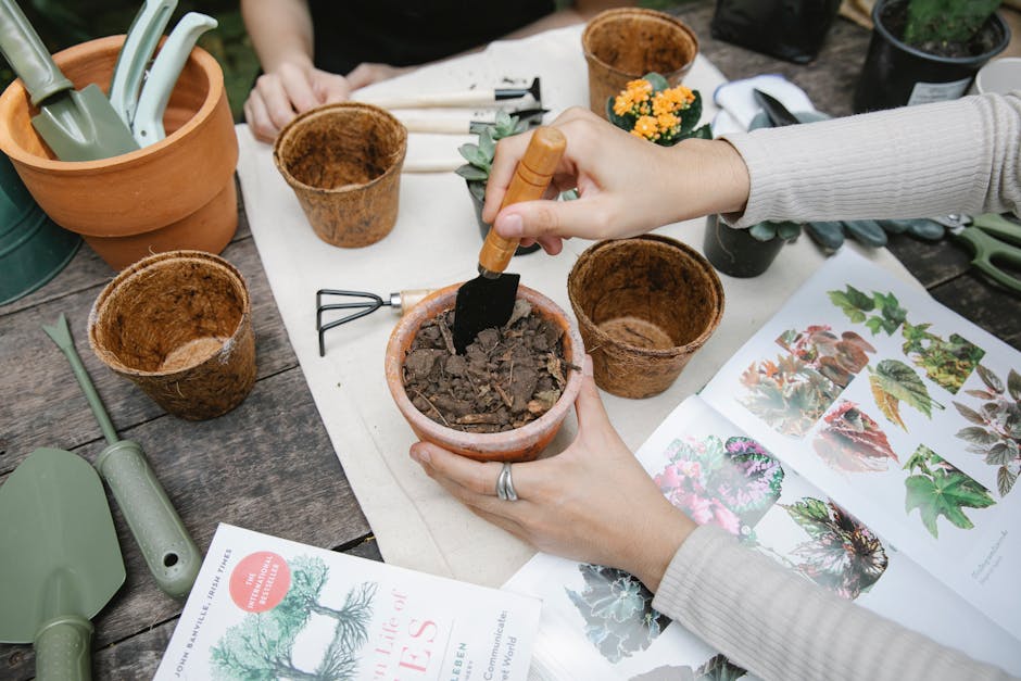 A Guide to Cultivating and Utilizing Calendula