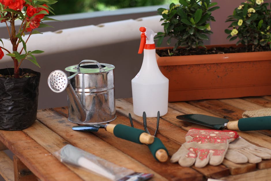 Best Garden Gifts: Essential Tools and Delightful Treasures for Every Gardener