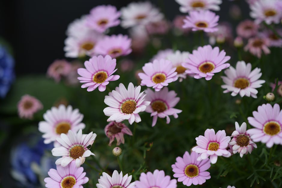 Creating a Flourishing Garden in Your Townhouse