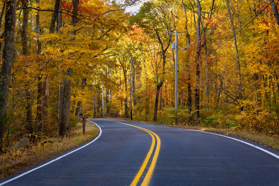 Exciting Autumn Foliage in Massachusetts