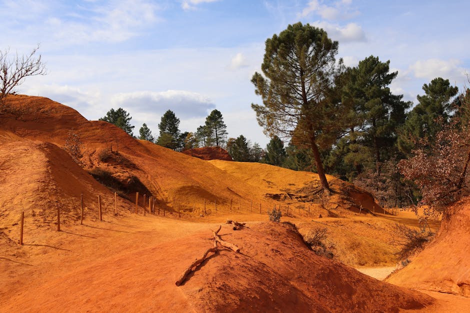 Exploring the Autumn Trails of Eldorado Canyon