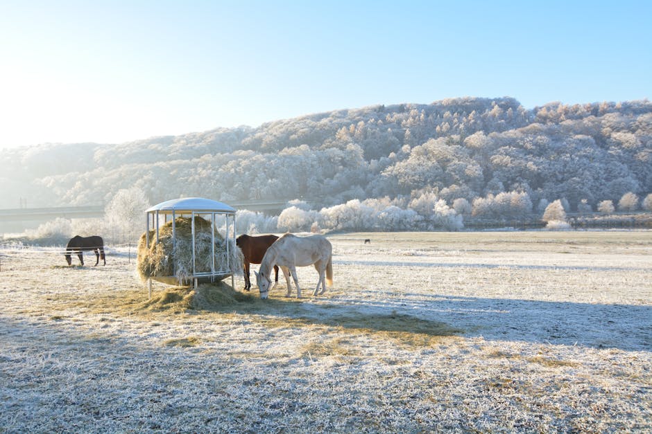 Feeding Fescue Grass to Horses: Is it Safe?