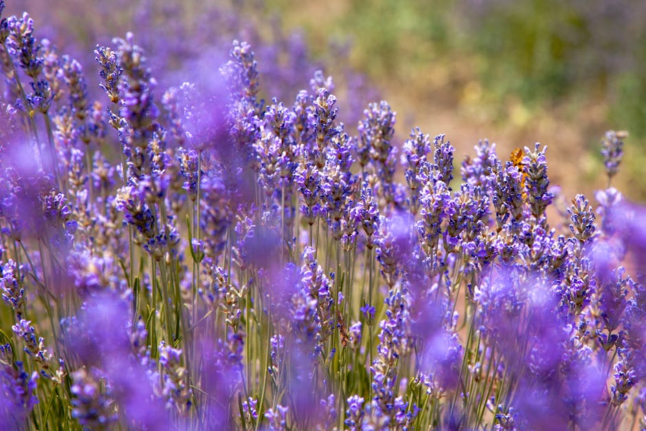 Mastering Winter Gardening: Essential Tips for a Flourishing Garden