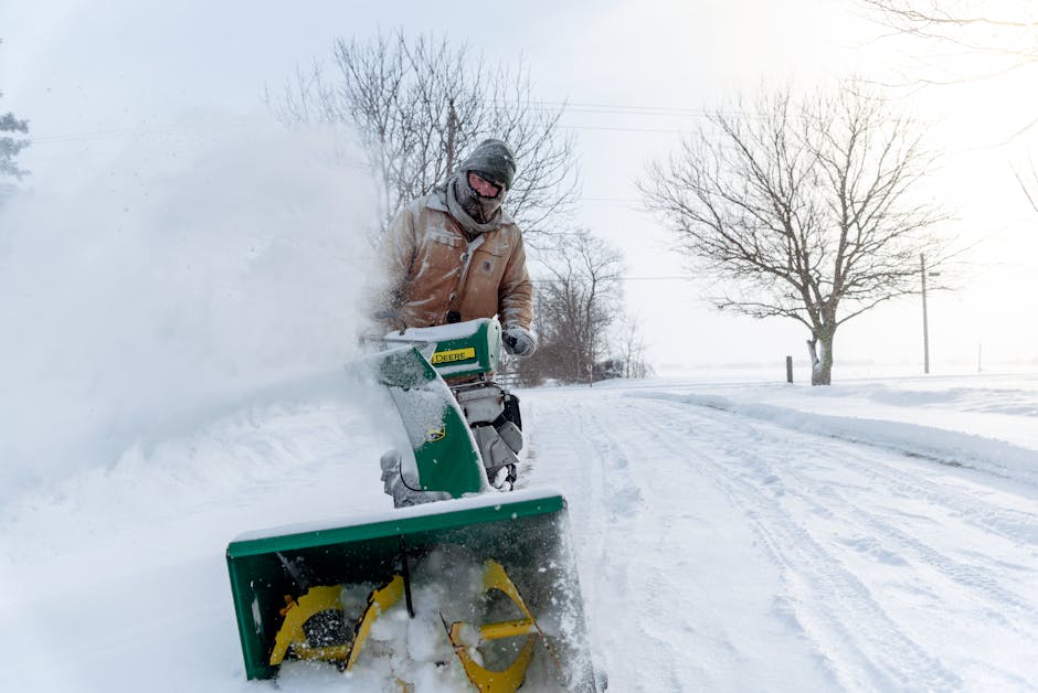 Protecting Citrus Trees from Freezing in Mild Winter Climates